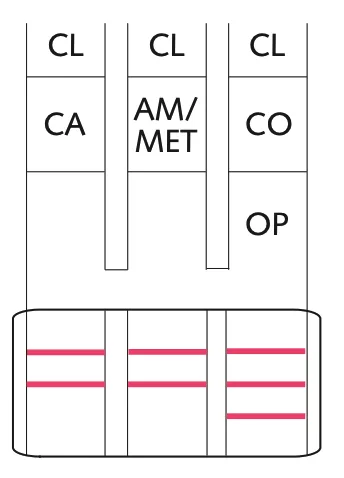 analysis depistage kits ldd capture d’écran 2026 03 19 à 09 20 22 08